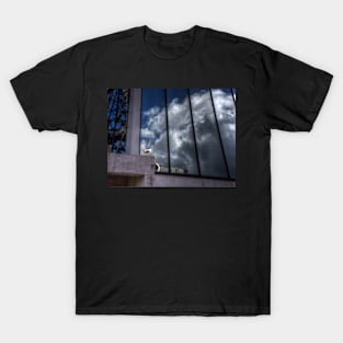 Reflected Clouds T-Shirt